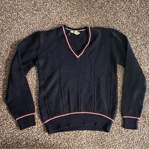 preppy blue v-neck sweater